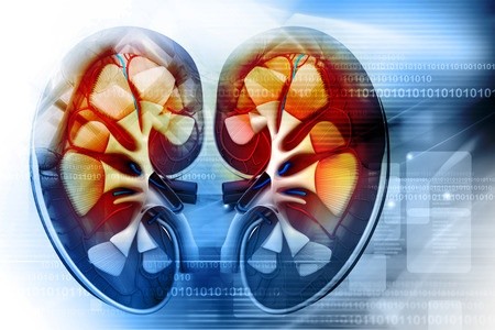 Treatment of Kidney Infections