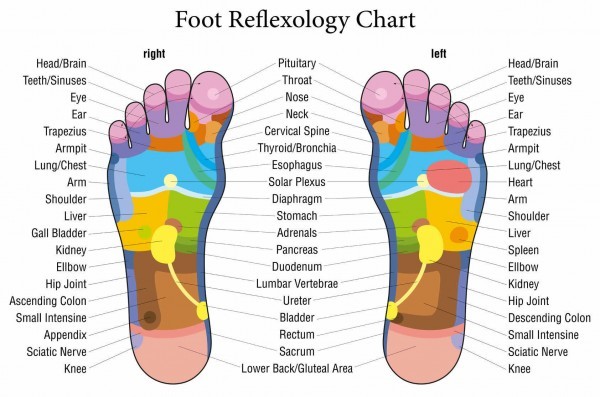 free reflexology charts foot reflexology chart